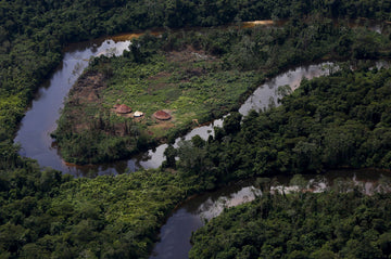 Meio ambiente - O rastro de destruição do mercado ilegal de ouro brasileiro - L'Amazonie Skincare